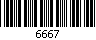 6667